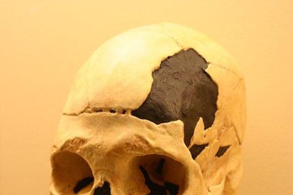 Peștera cu Oase: Misterele Preistoriei din Poiana Botizii