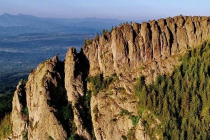 Explorând frumusețile naturale ale Rezervației Creasta Cocoșului