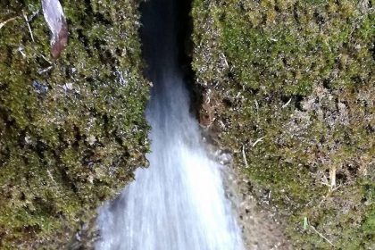 Descoperă Izvoarele Minerale de la Coștiui: O Comoară Valoroasă