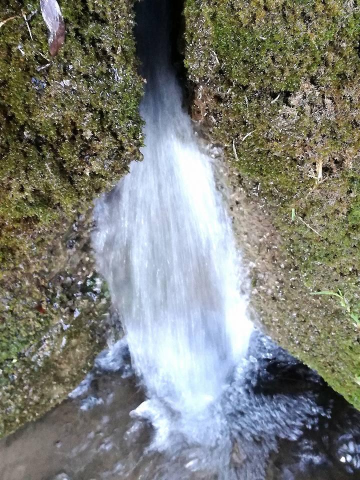 Descoperă Izvoarele Minerale de la Coștiui: O Comoară Valoroasă