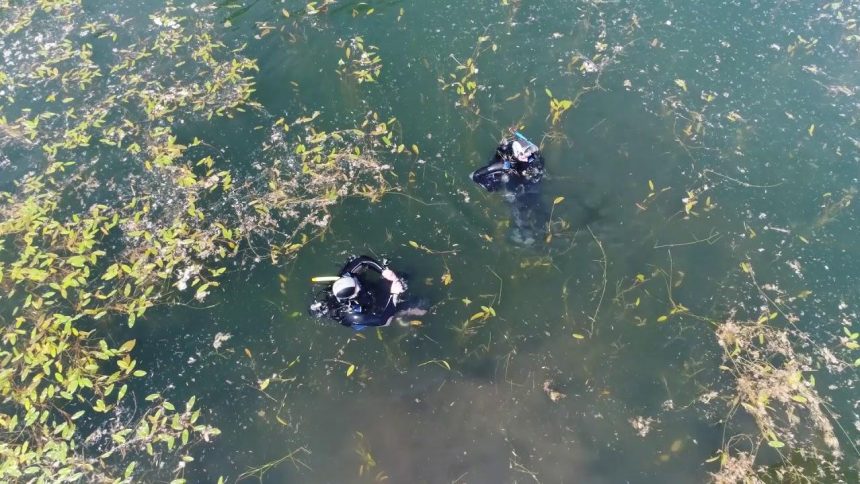 Oază de liniște: Descoperă Lacul Teplița din Borșa