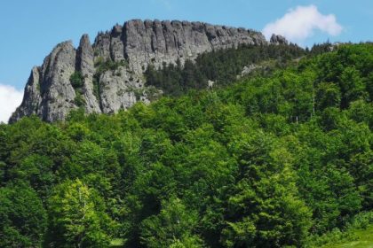 o experienta de neuitat la creasta cocosului de ziua mondiala a mediului 6768485dd4349