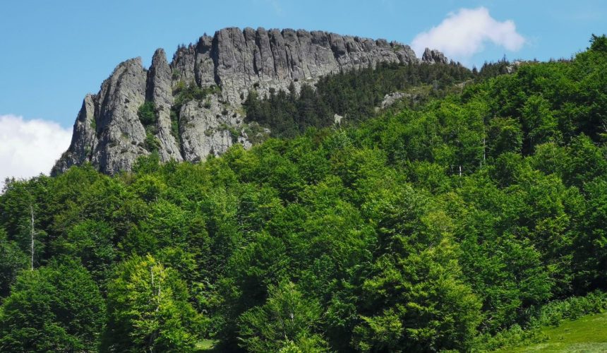 o experienta de neuitat la creasta cocosului de ziua mondiala a mediului 6768485dd4349