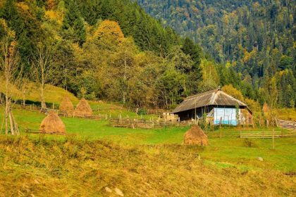 O descoperire liniștită: Valea Vinului din Munții Rodnei