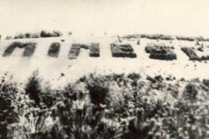 Dealul Comja: Oază de Natură și Istorie în Sighetu Marmației