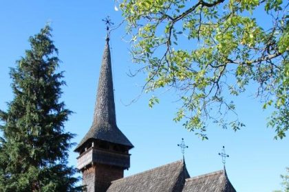 Descoperă Poienile Izei: O Bijuterie Ascunsă a Naturii