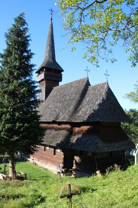 Descoperă Poienile Izei: O Bijuterie Ascunsă a Naturii