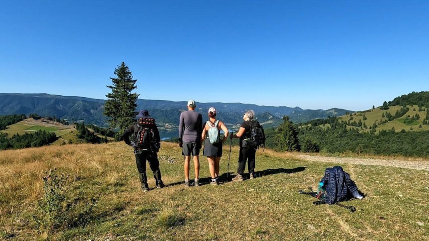 Descoperă Magia Cascadelor: Cascada Tomnatec în Natură
