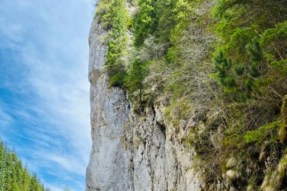 Descoperă Minunile Naturale ale Cheilor Tătarului