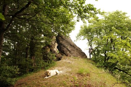 Legende și Peisaje: Pietrele Moșului și Babei din Gutâi