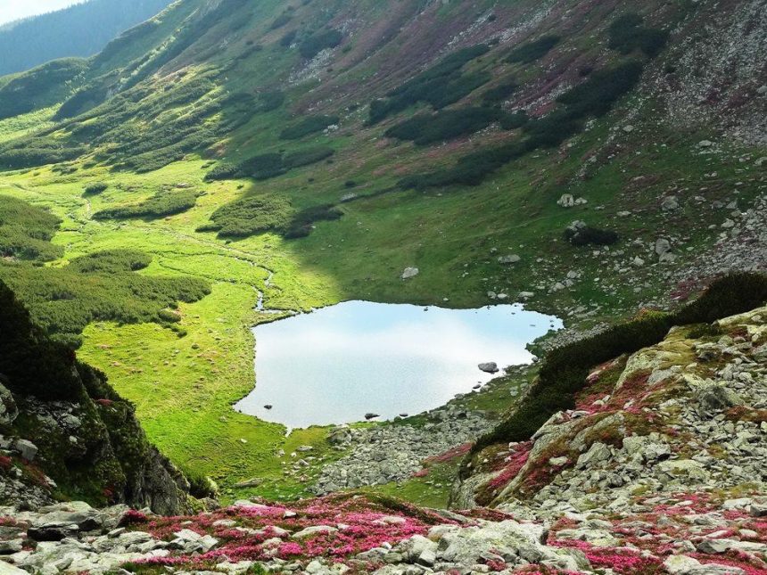 Descoperă Farmecul Lacului Iezer: O Bijuterie Naturală