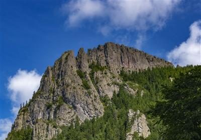 Descoperă magia Rezervației Creasta Cocoșului: o oază de natură