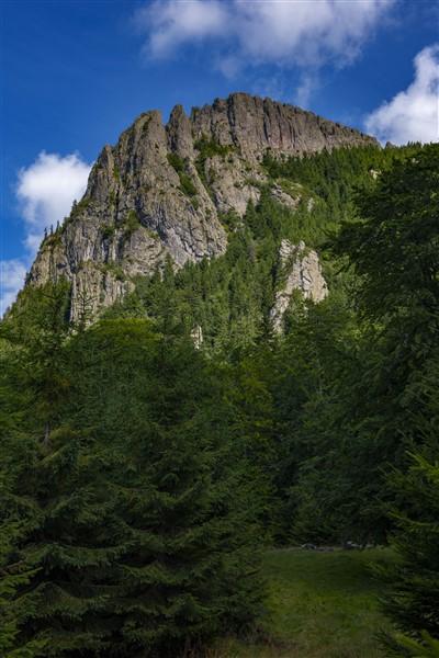 Descoperă magia Rezervației Creasta Cocoșului: o oază de natură