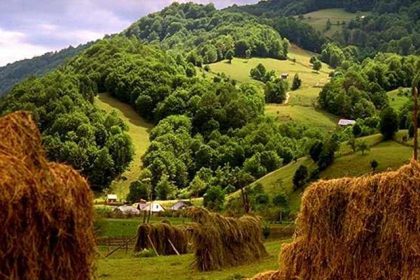 Valea Izei: Perlele Naturii în Inima Maramureșului