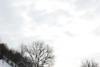 Vișeu de Sus: O Perla Ascunsă în Inima Maramureșului