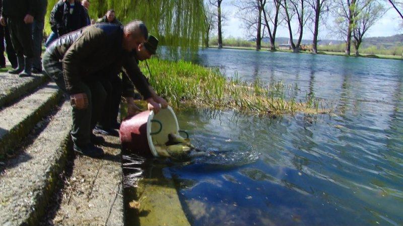 Descoperă Lacul Teplița: O Bijuterie Naturală în Borșa