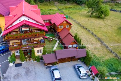 Descoperind Valea Brazilor: O Oază a Naturii în Poienile de Sub Munte