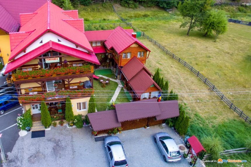 Descoperind Valea Brazilor: O Oază a Naturii în Poienile de Sub Munte