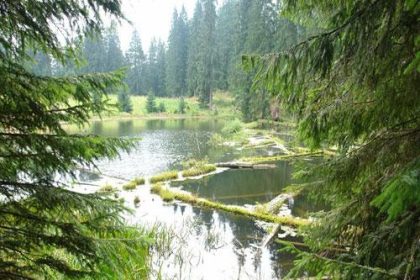 Descoperă Magia Rezervației Tăul Zânelor din Baia Sprie