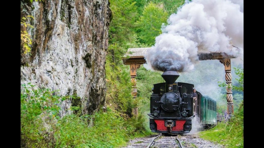 Mocănița de pe Valea Vaserului: O Călătorie în Timp