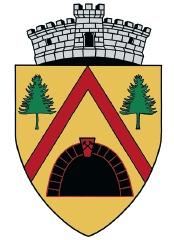 Băiuț: O Bijuterie Ascunsă între Vârfurile Munților