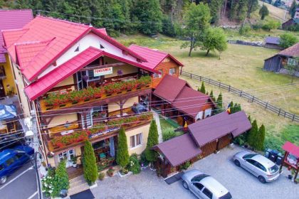 Descoperă Valea Brazilor: O comoară naturală în Poienile de Sub Munte