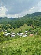 Băiuț: O Descoperire Arhaică Între Natură și Tradiție