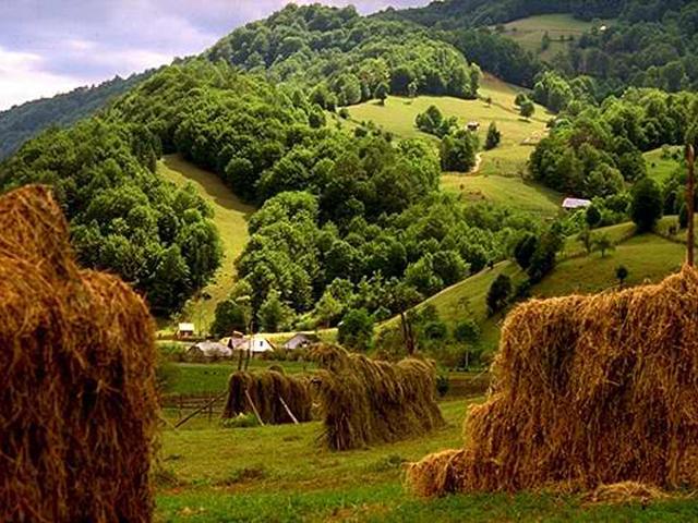 Descoperă Valea Izei: O Comoară a Naturii și Culturii