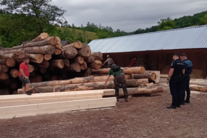 ample verificari si controale in aceasta saptamana pe linie silvica 67975b0bafcea