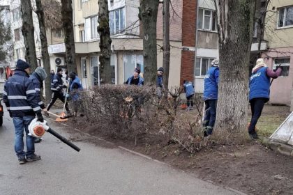 baia mare actiunea de curatenie generala pe spatiile verzi continua 679b4e272f4a3