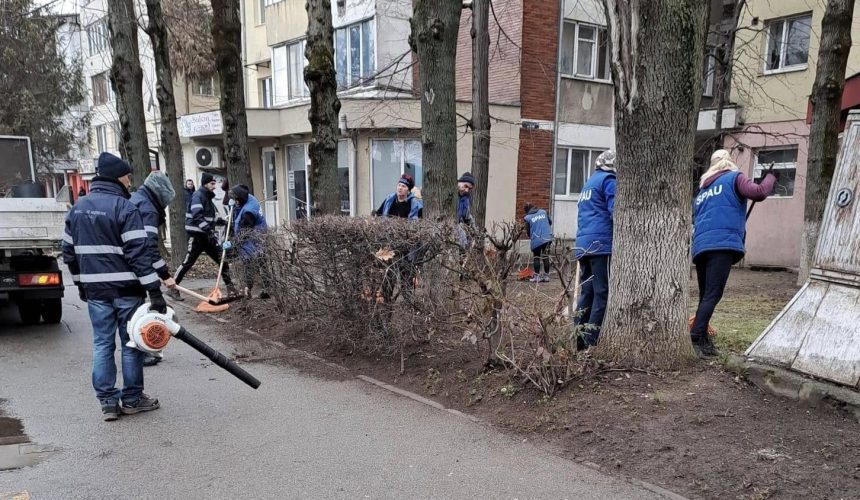 baia mare actiunea de curatenie generala pe spatiile verzi continua 679b4e272f4a3