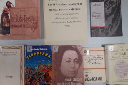 biblioteca judeteana in memoria lui ion budai deleanu 677b88337ff7e
