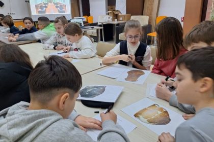 muzeul judetean de istorie povestea vasului de lut continua 678a5861101d7