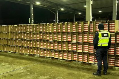 politia de frontiera zeci de mii de pachete cu tigari descoperite ascunse intr un camion incarcat cu varza 6799f829e27d7