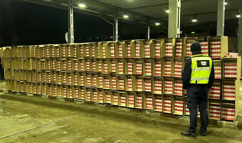 politia de frontiera zeci de mii de pachete cu tigari descoperite ascunse intr un camion incarcat cu varza 6799f829e27d7