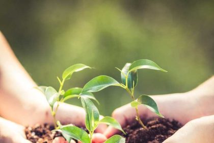 ruralcreativ proiectul care poate transforma ideile in afaceri 6791d983b1a7f