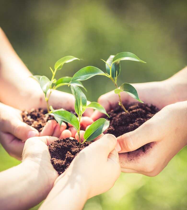 ruralcreativ proiectul care poate transforma ideile in afaceri 6791d983b1a7f