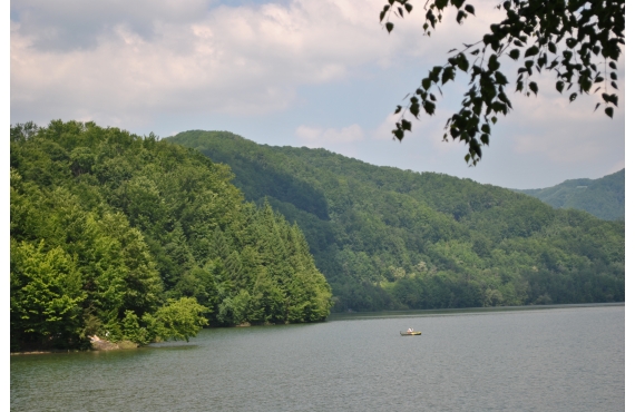 stiinta 10 lucruri despre apa 678a23d12eec5