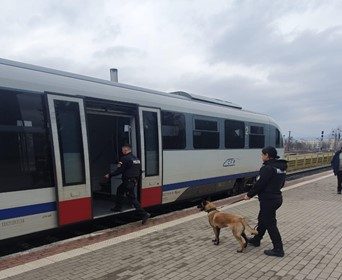 actiune desfasurata de politistii biroului judetean de politie transporturi maramures 67a0bc358e7ad