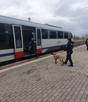 actiune desfasurata de politistii biroului judetean de politie transporturi maramures 67a0bc358e7ad