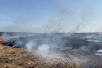 isu incendiu de vegetatie uscata pe o suprafata de aproximativ 20 de hectare in zona coltau 67c070029a26a