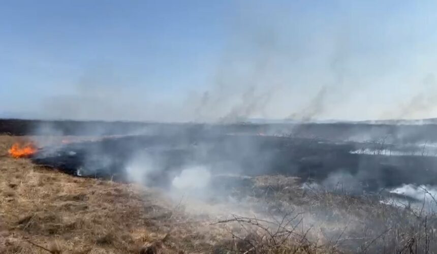 isu incendiu de vegetatie uscata pe o suprafata de aproximativ 20 de hectare in zona coltau 67c070029a26a