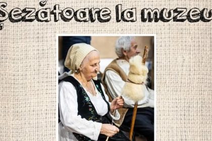 muzeul satului baia mare sezatoare la muzeu 67a9c1c76e311