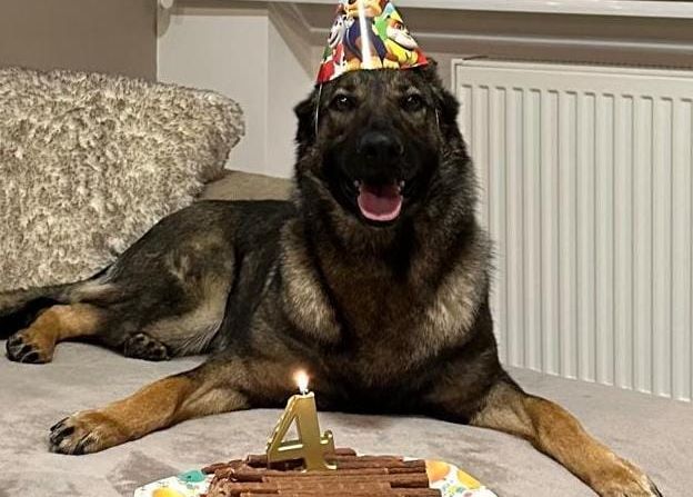 special prieteni de nadejde ai politistilor 67b58b8db0ab5