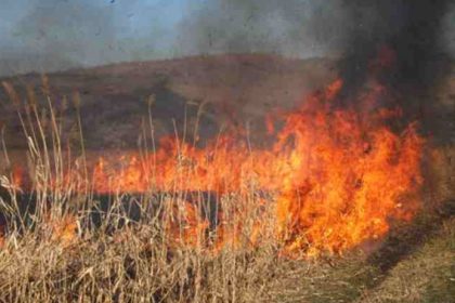 isu persoana gasita moarta de pompieri in urma unui incendiu de vegetatie 67cb1117bf996