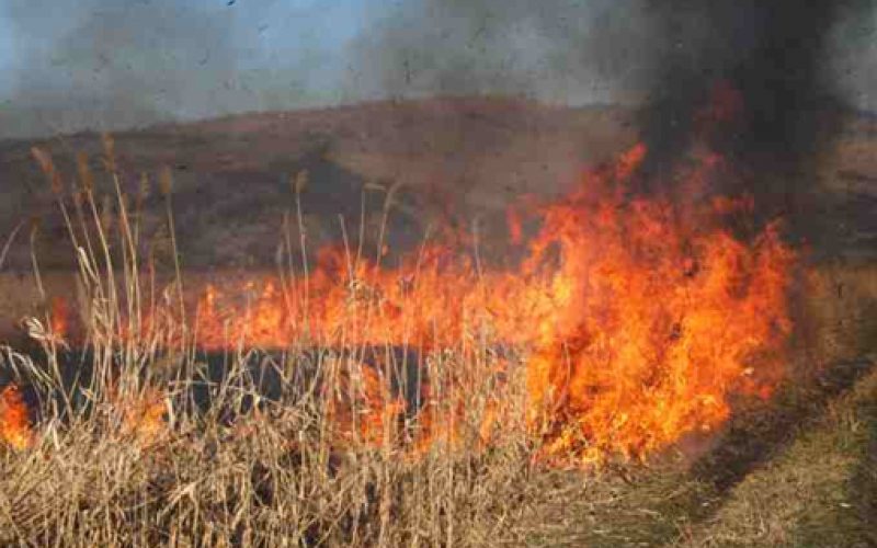 isu persoana gasita moarta de pompieri in urma unui incendiu de vegetatie 67cb1117bf996
