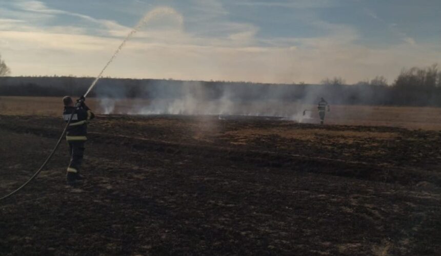 isu zeci de incendii de vegetatie in luna martie in maramures 67cfde7d973ad