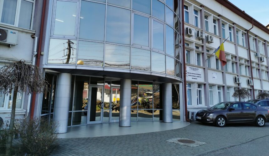 video s a stins ultimul focar de infectie de pesta porcina africana la domestic din maramures 67ca330e47ef9