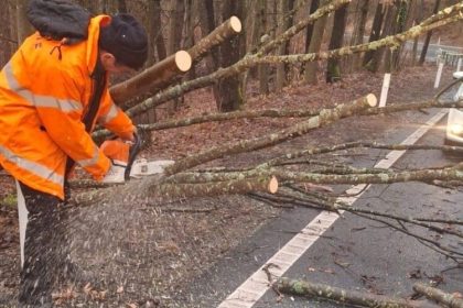 vreme cu probleme copaci prabusiti in urma rafalelor de vant in maramures 67d31086c01e2