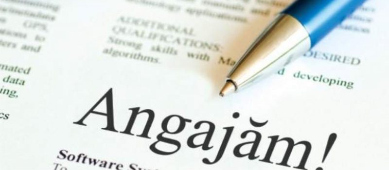 ajofm locuri de munca in maramures 67f75ce8cac93